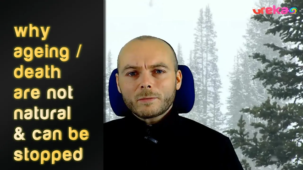 snap.jpg
