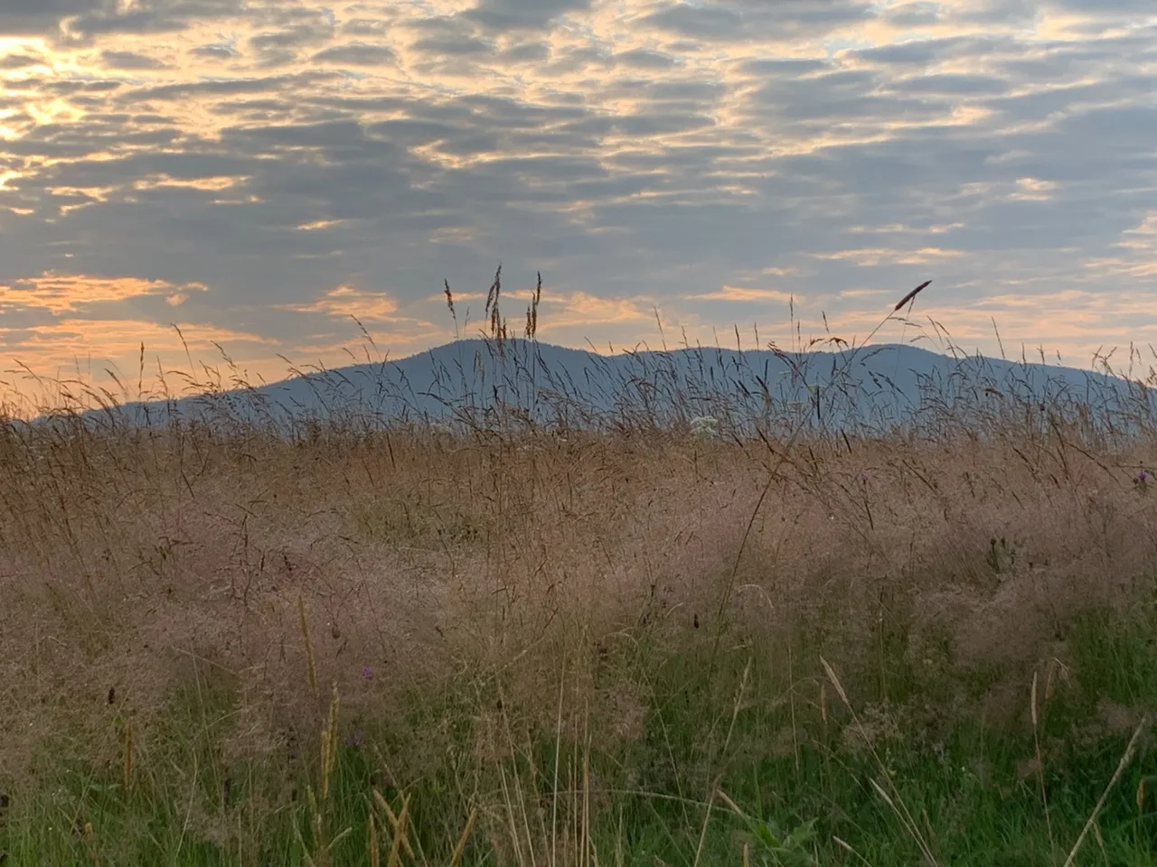 Jaworniki o poranku, widok z Czarnej Górnej