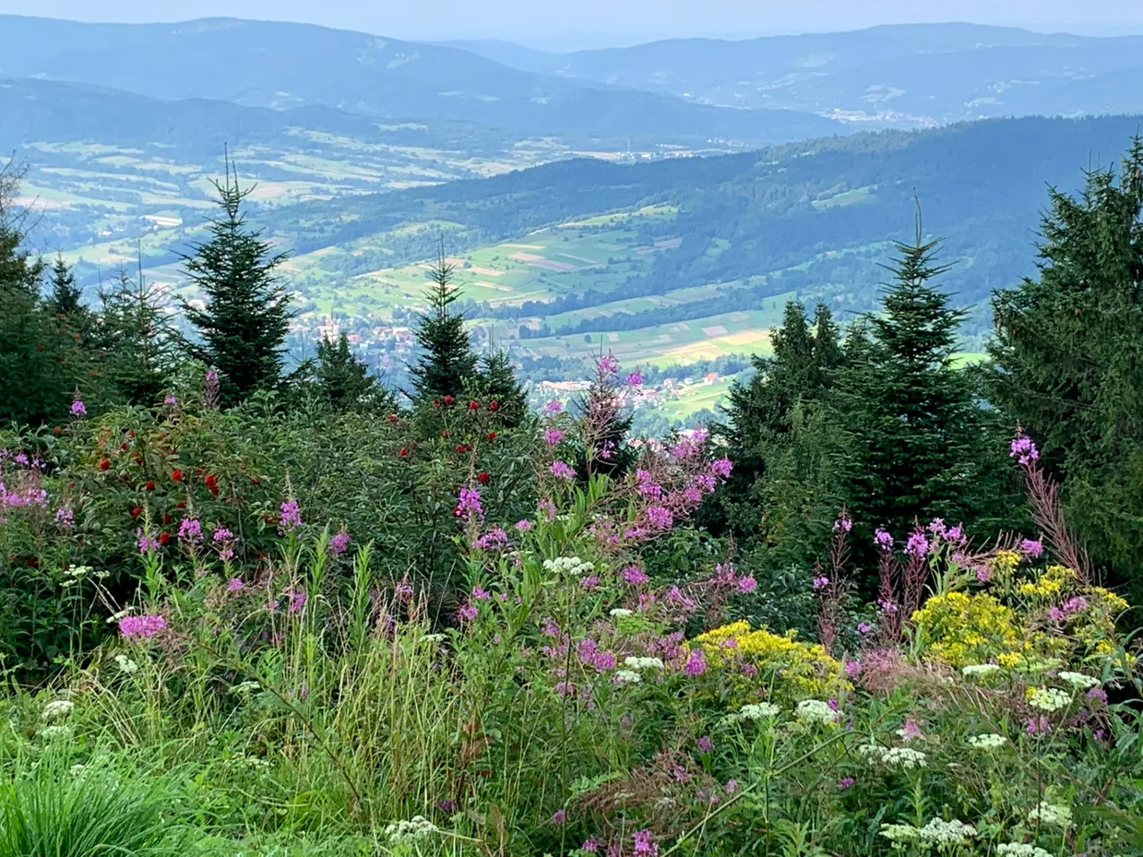 Widok z Lubonia Wielkiego