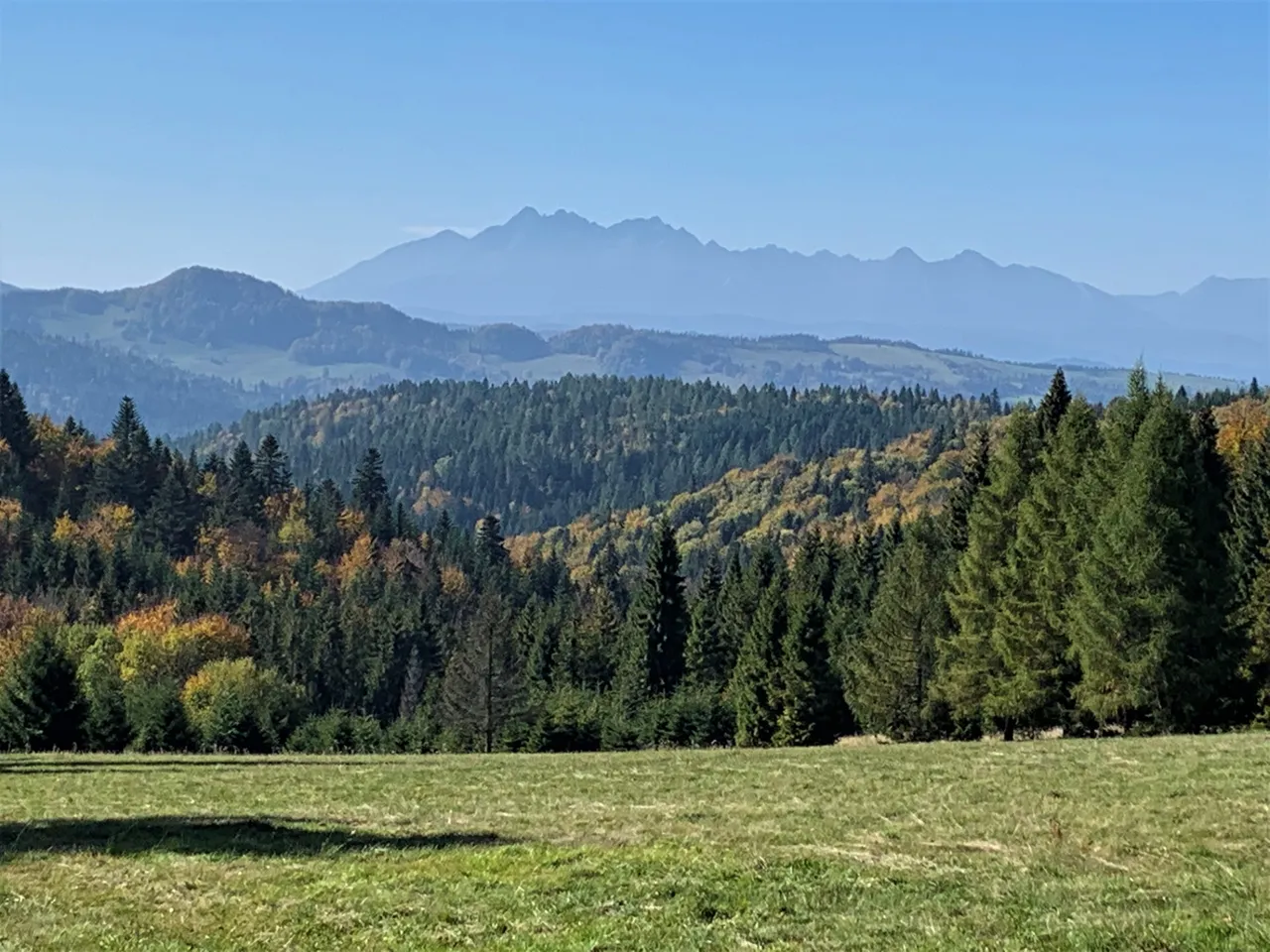 Widok na Tatry, szlak na Radziejową