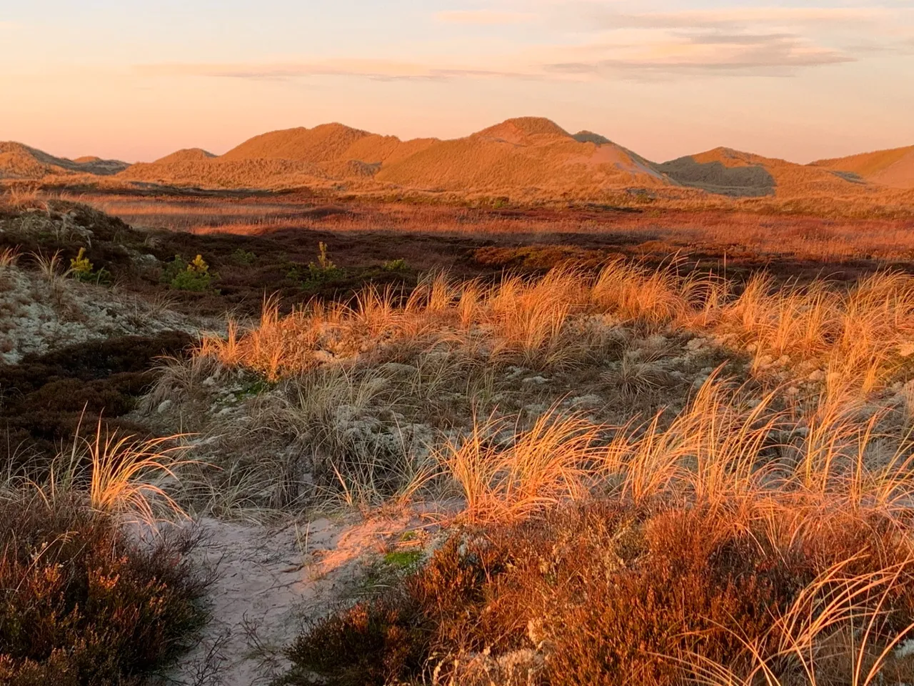 Råbjerg Mile at sunrise