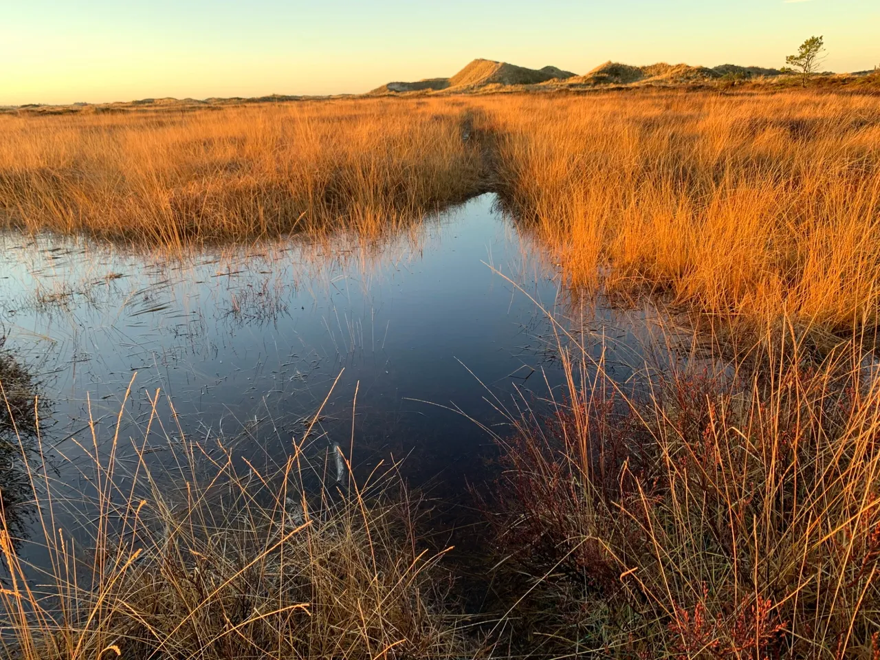 ”Mile lake” on the blowing surface of the dunes