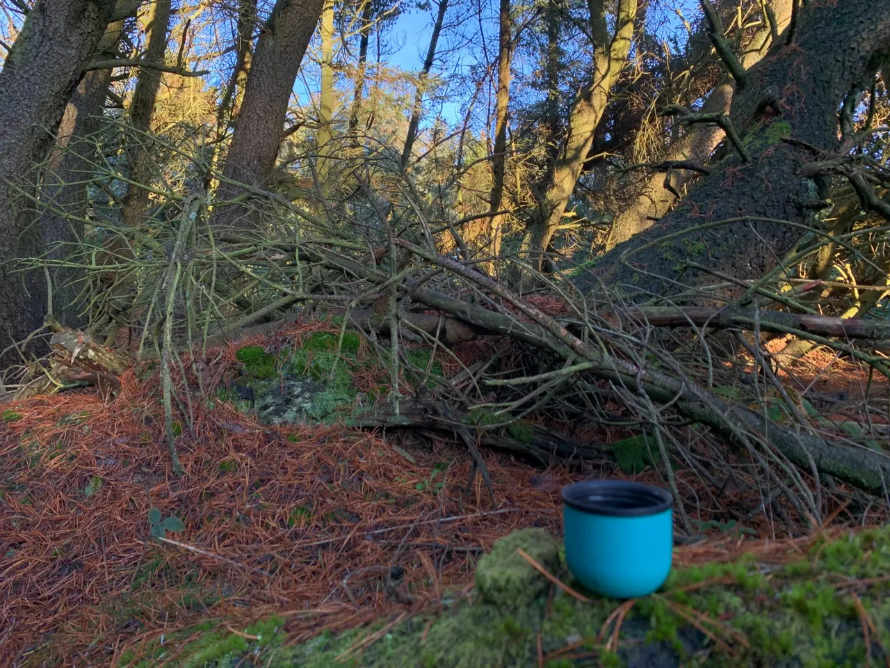 Picnic time after leaving the coast