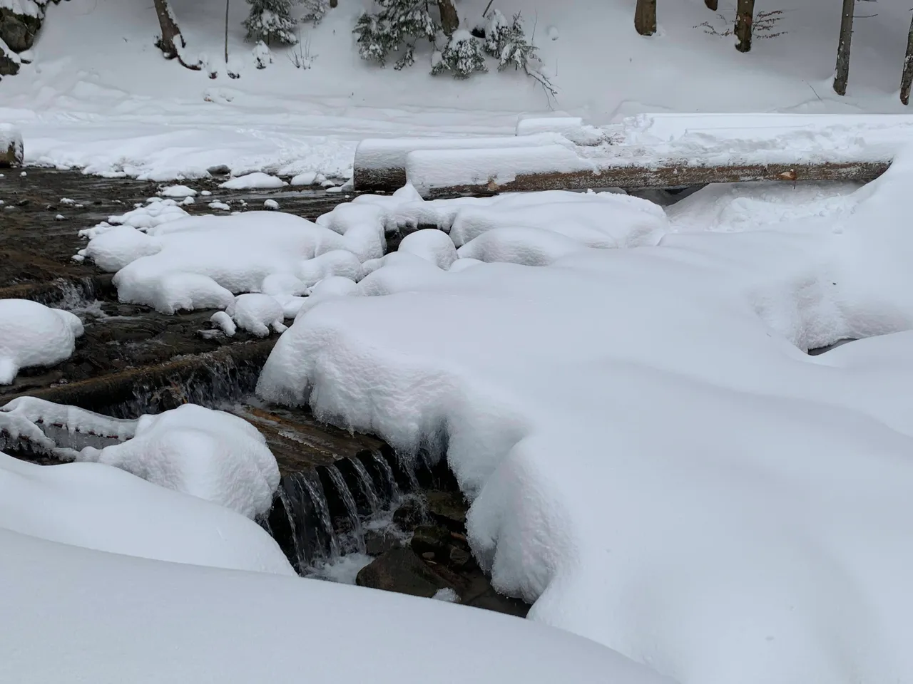 Potok pod śniegiem / Stream under snow