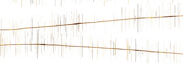 a market seeks a route to equillibrium