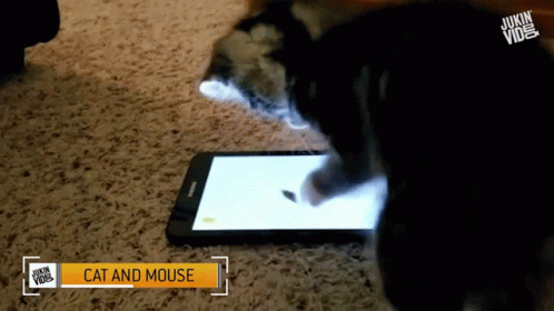 untitled.gif