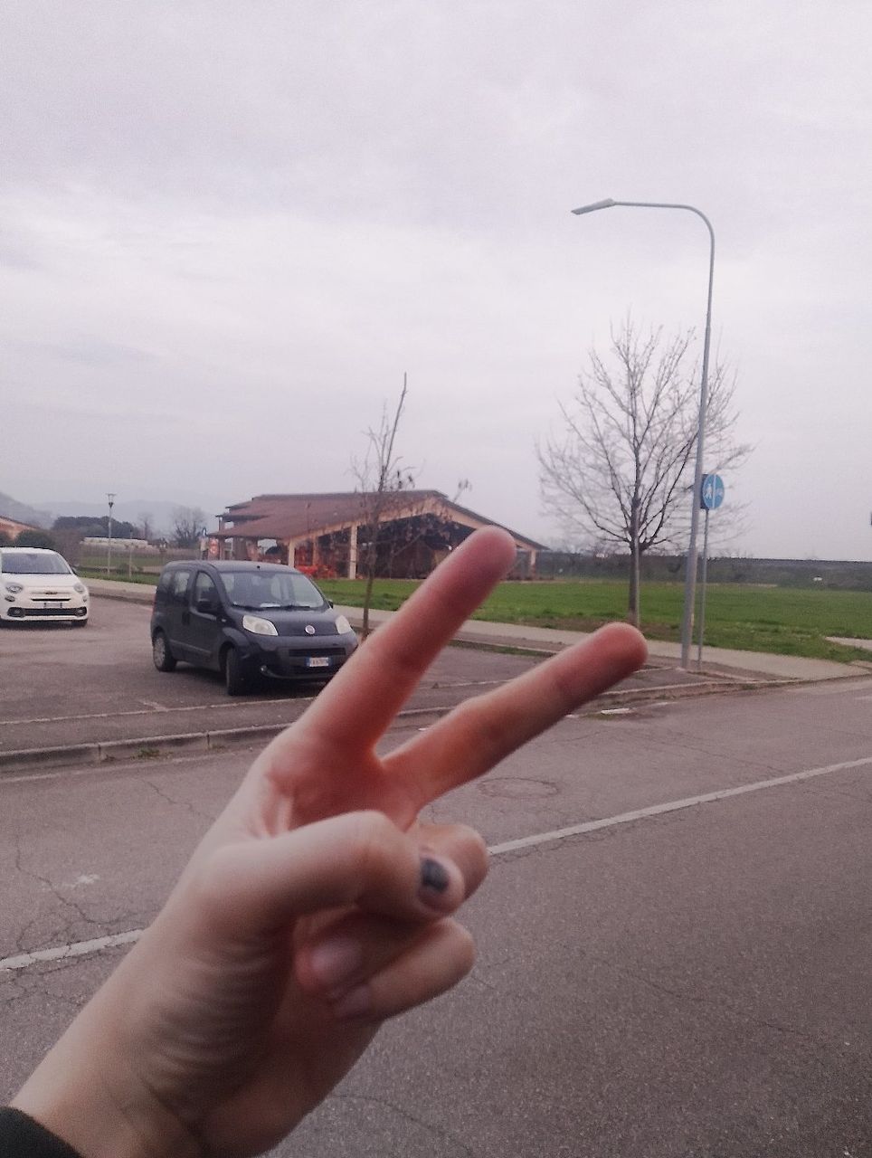 alt