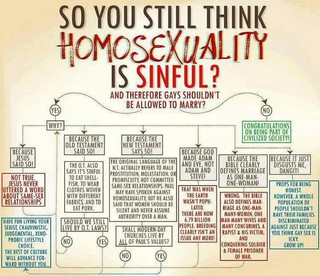 homo flowchart and the bible silly pic