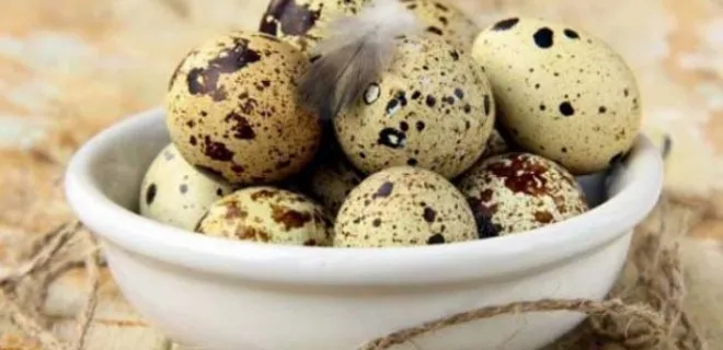 QUAIL EGGS