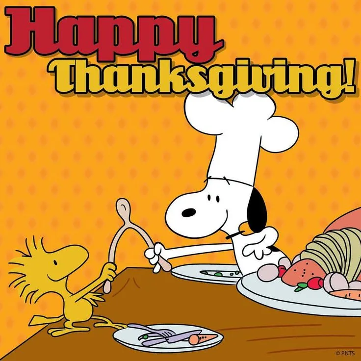 e9f3e24d79985313998e199fe0e51f2c--thanksgiving-treats-charlie-brown-thanksgiving.jpg