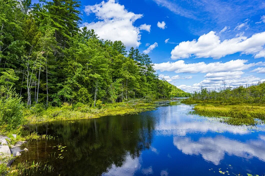 breathtaking-shot-clear-lake-with-reflection-vibrant-trees-blue-sky_181624-49870.jpg