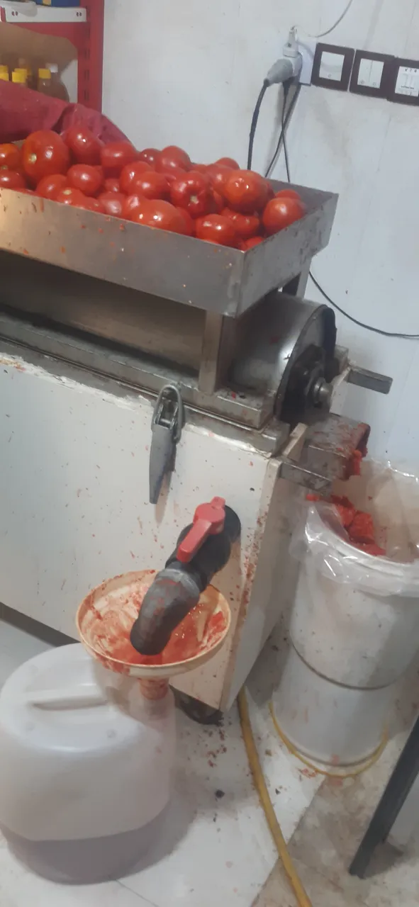 ۲۰۲۲۰۹۱۰_۲۲۰۳۳۸.jpg