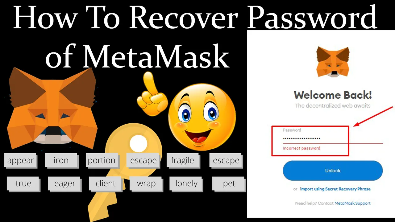 How To Recover Password of MetaMask Wallet by Crypto Wallets Info.jpg