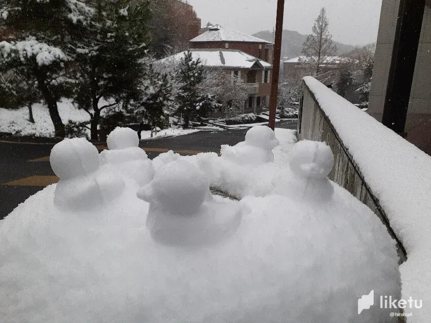 clc1ralju00cx8tsz63ehhmyq_snowducks.webp