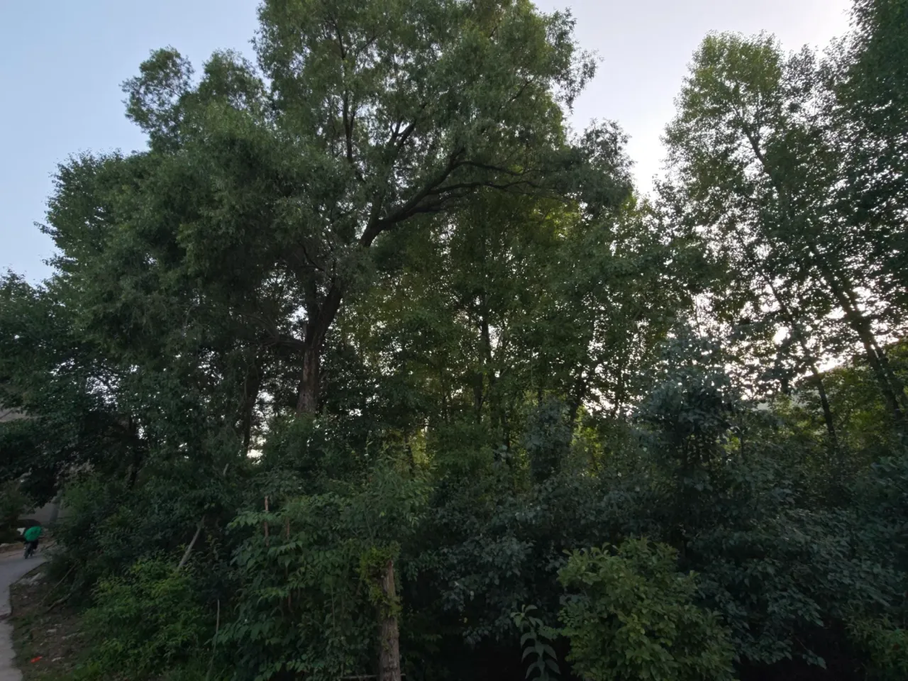 UvfnMgQYV48nQXGs_IMG20250709194347.webp