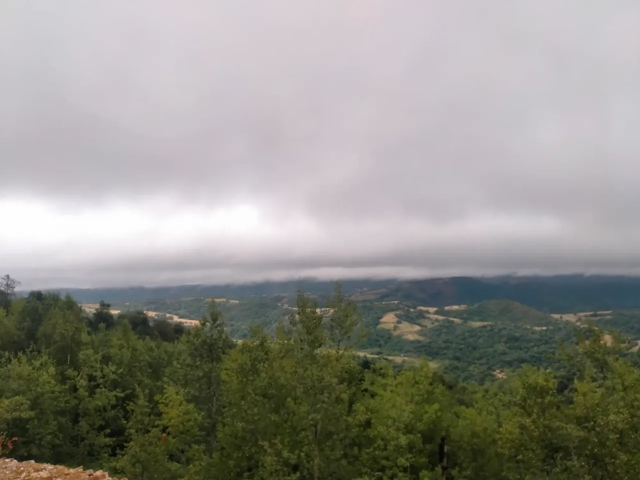 x0jMgYrGDVOGzZDy_IMG20250709095441.webp