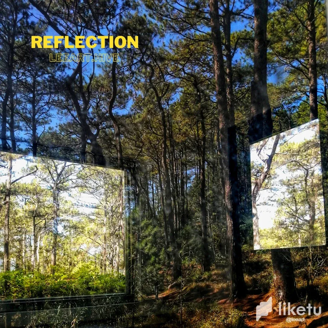 clf2kzqo200mt80szckwz96vl_reflection.webp