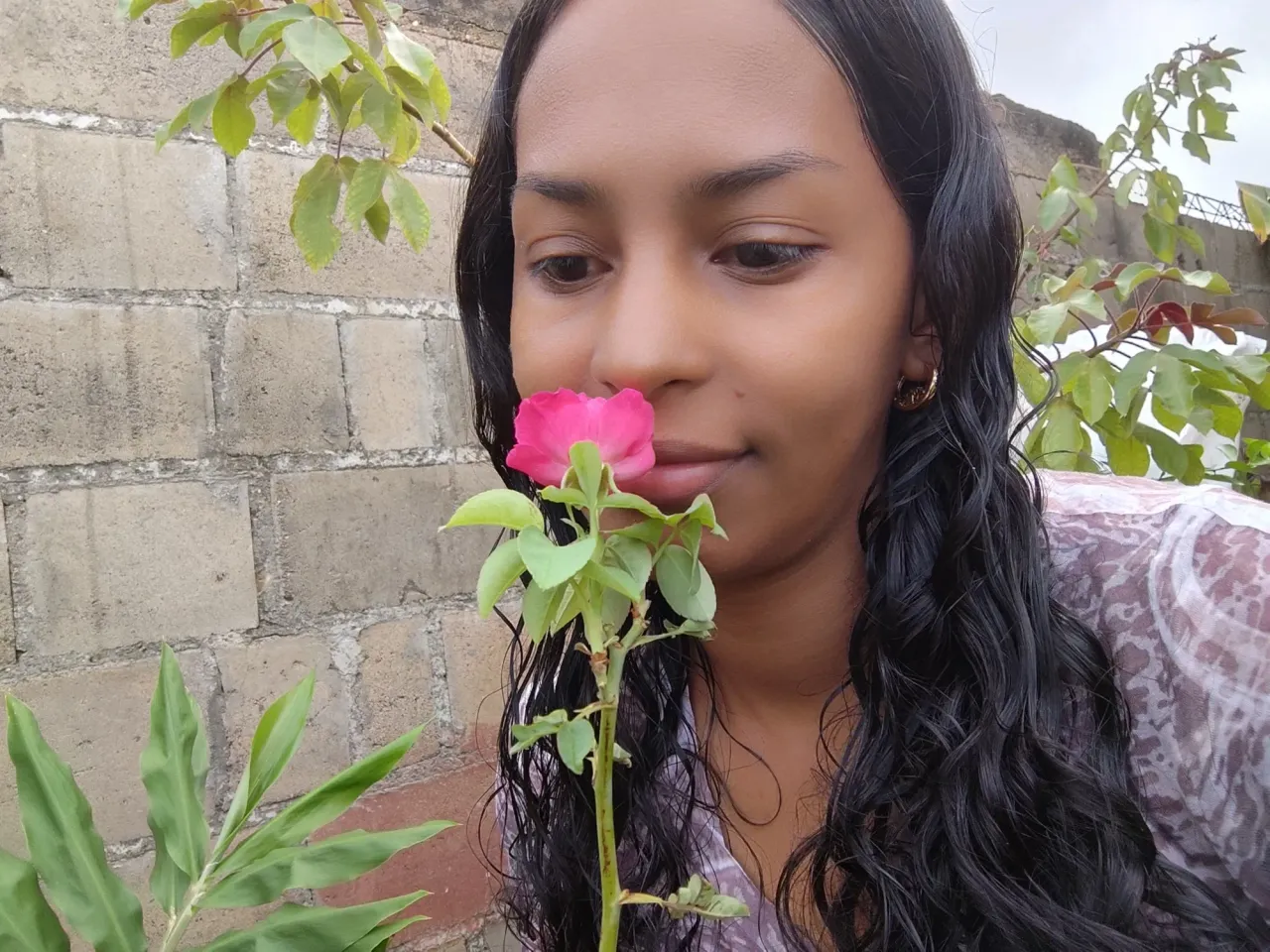 sxTUf4SHTofdSCoE_IMG_20241220_080915.webp