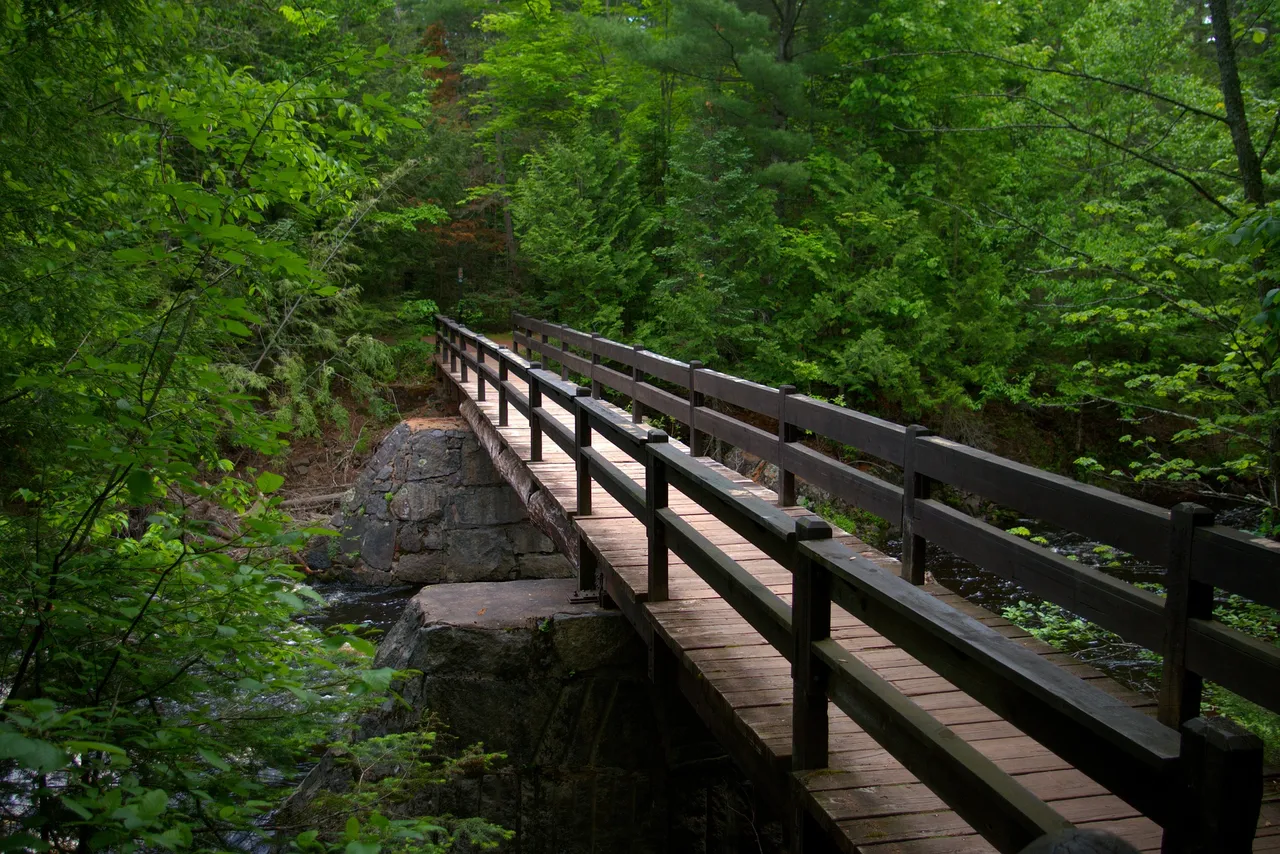 doughboy-trail-foot-bridge-3540789_1920.jpg