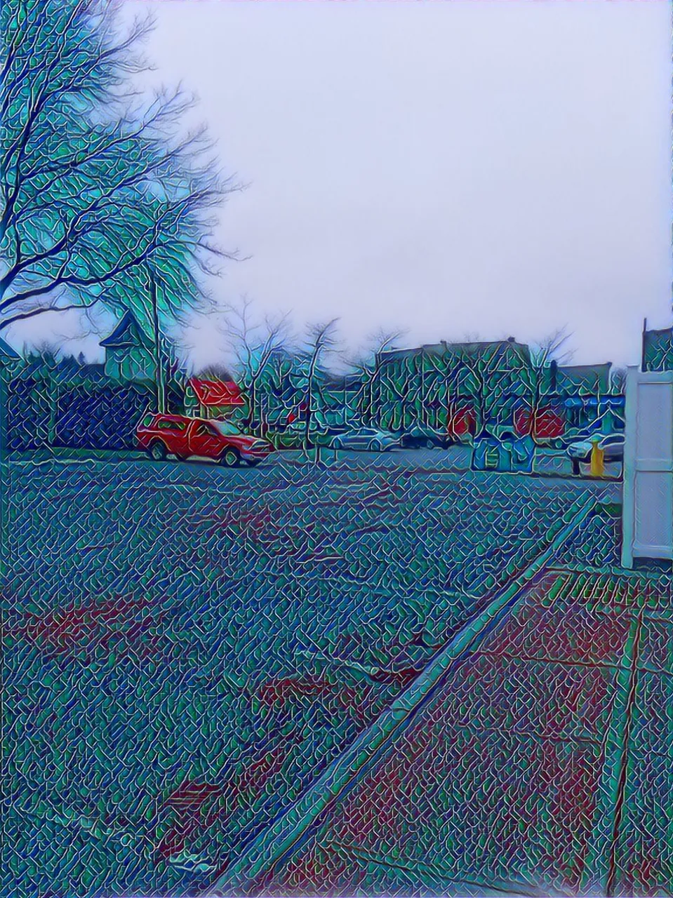 IMG_Dandelion_20190430_075034_processed.jpg