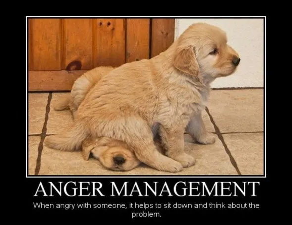 Demotivational-Posters-Anger-Management.jpg