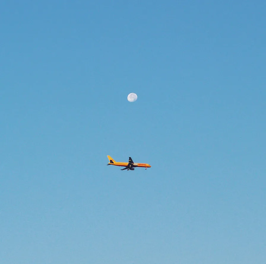 flying_under_the_moon_by_anapmc-d4cwihq.jpg