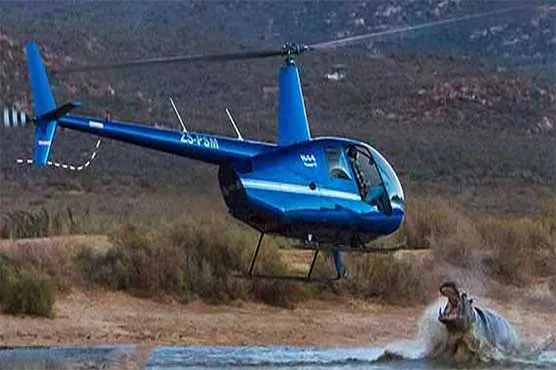 Sea Horse attacks on Helicopter.jpg