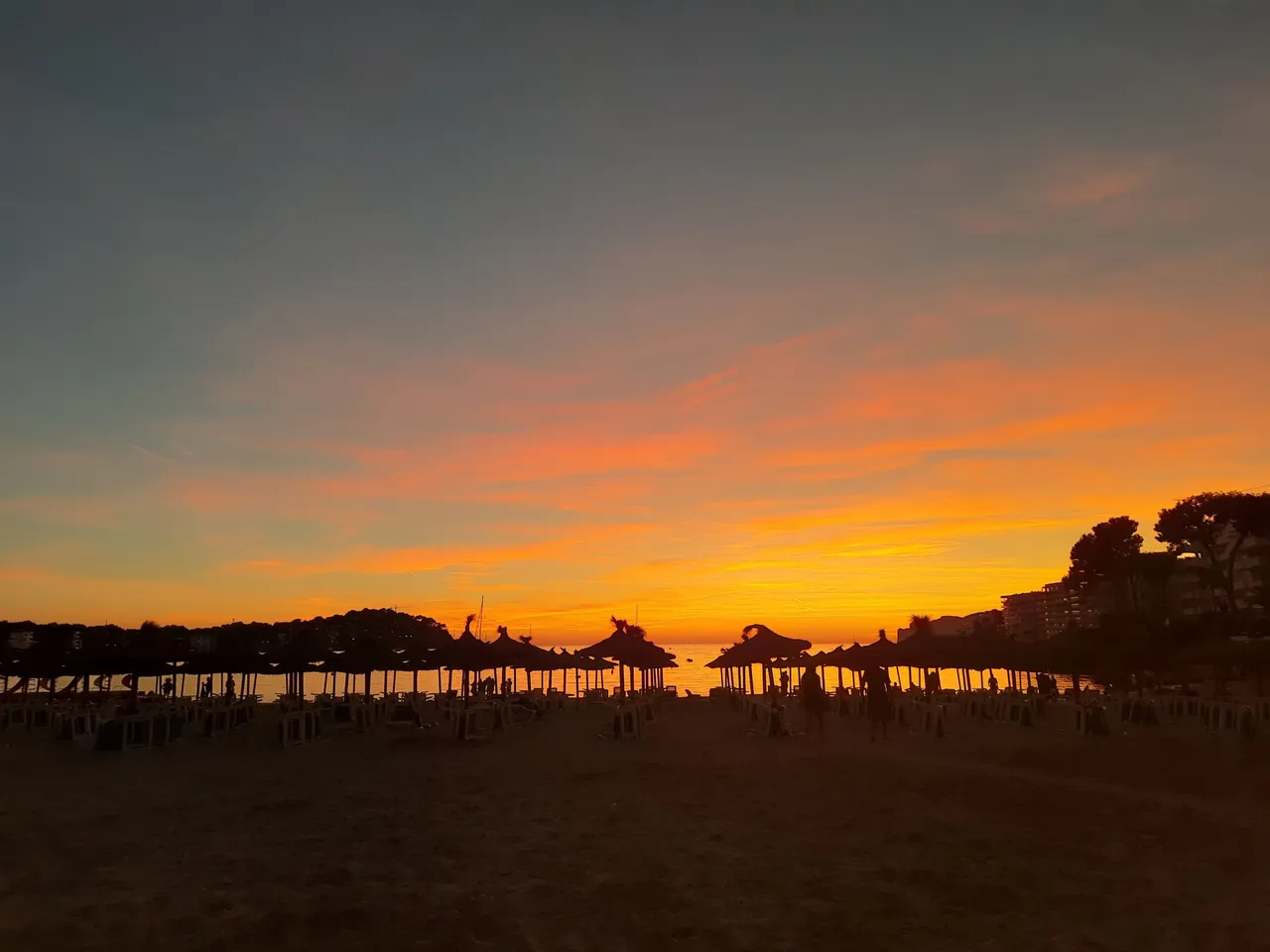 spsunset.jpeg