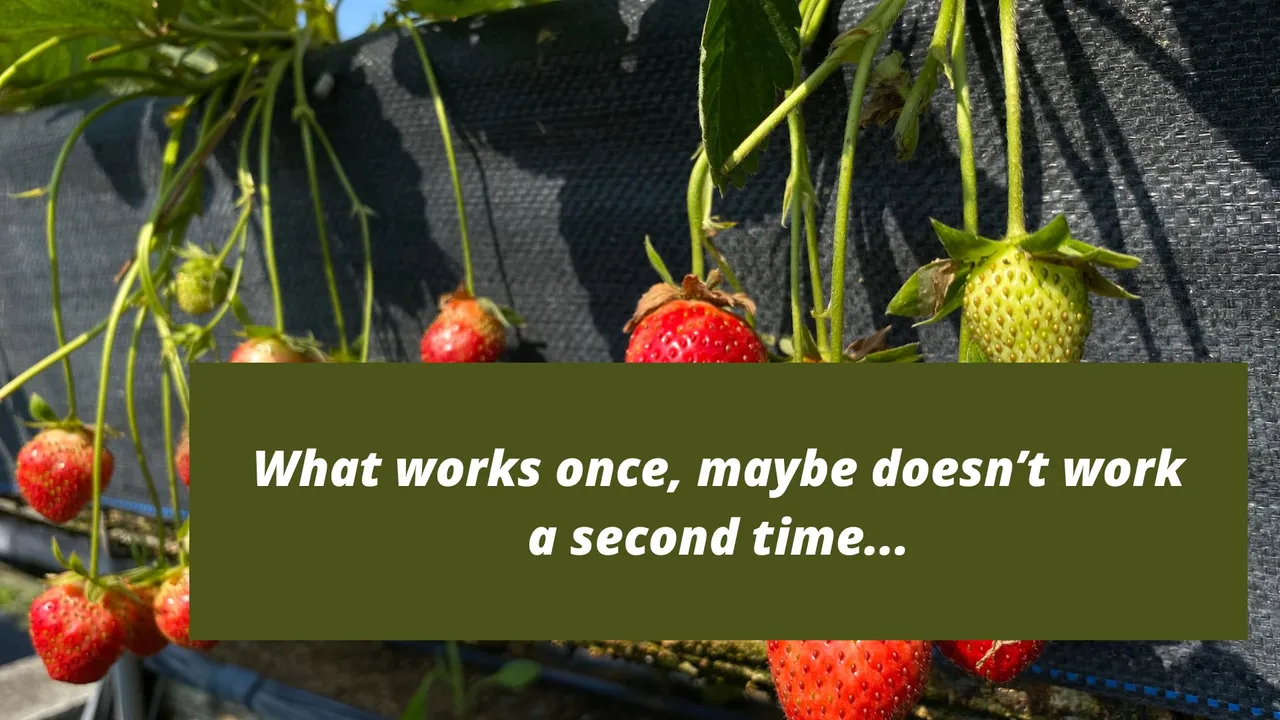 what works once maybe doesn't work a second time.jpg