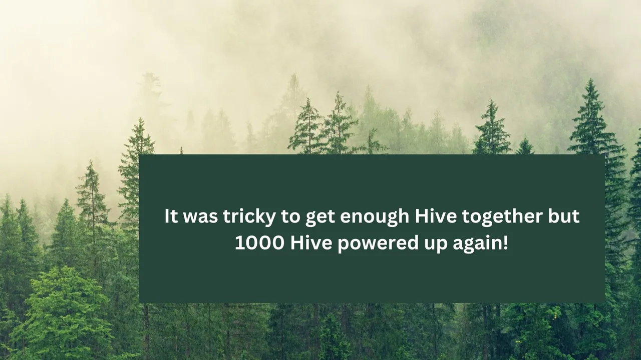 It was tricky to get enough Hive together but 1000 Hive powered up again.jpg