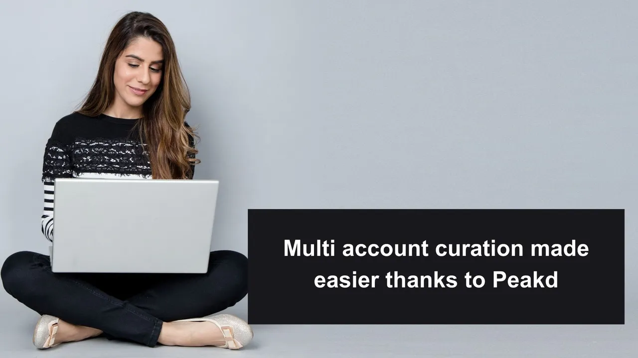 Multi account curation made easier thanks to Peakd.jpg