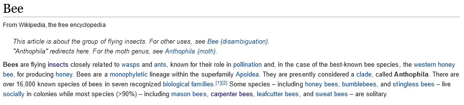 Bee.jpg