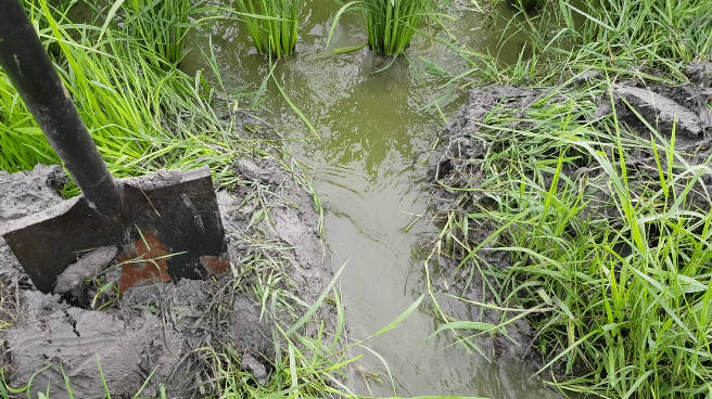 20220728_065740_1.gif