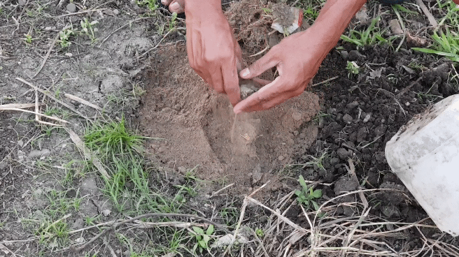 20230814_181521_3.gif