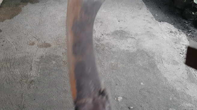20220728_061009_1.gif