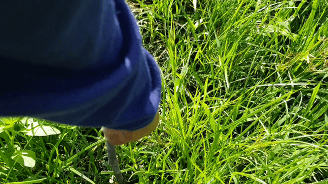 20220726_081151_3.gif