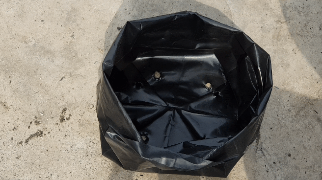 20230915_085245_1.gif