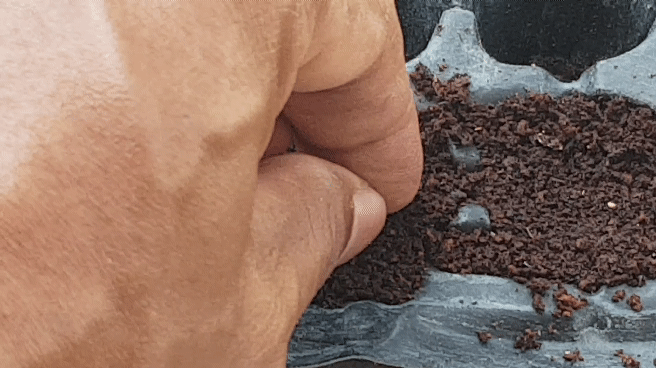 20230814_130413_1.gif
