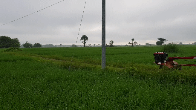 20220727_062441_3.gif