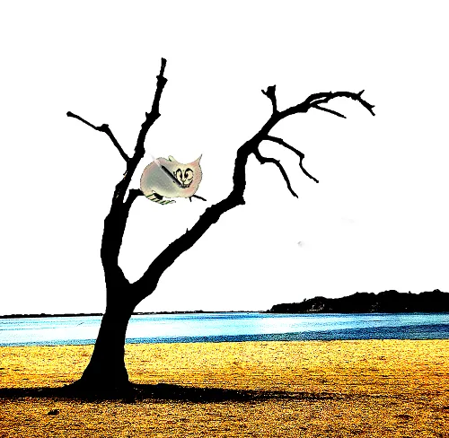 tree cheshire cigara.png