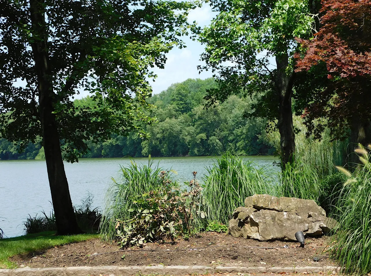 lake success3.png