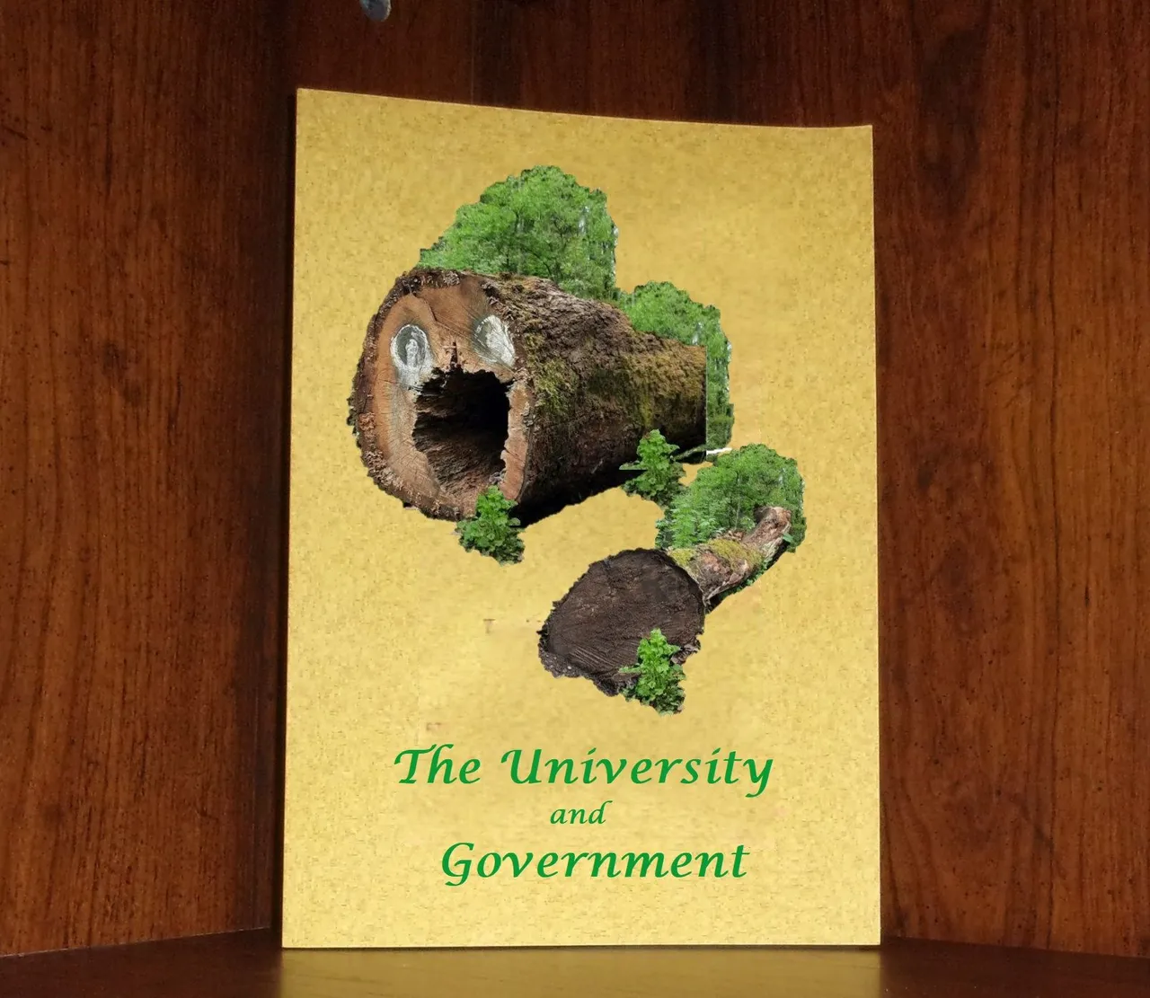lmac 227 book.jpg