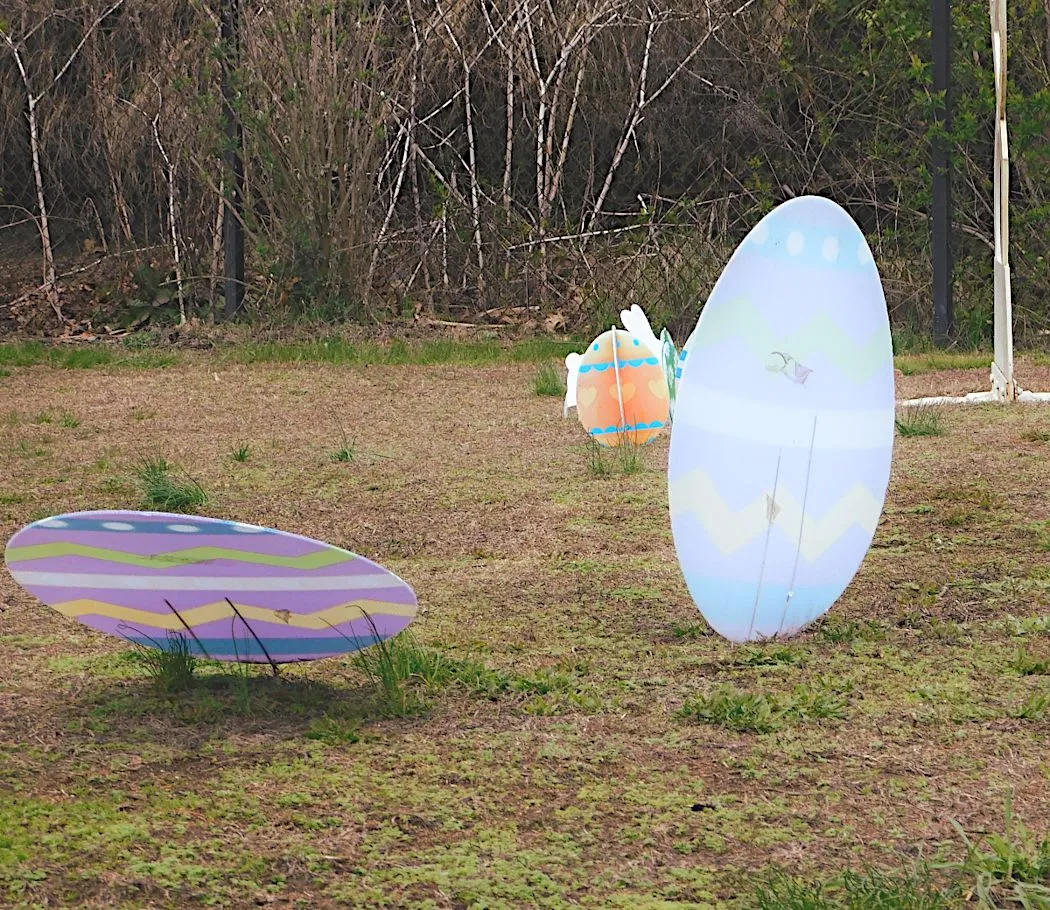 easter egg disply hatchery.png