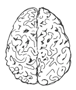 brain-1602757_640.jpg