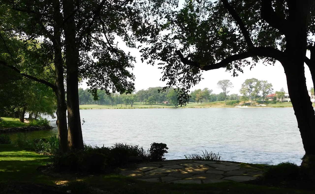 lake sucess7.png