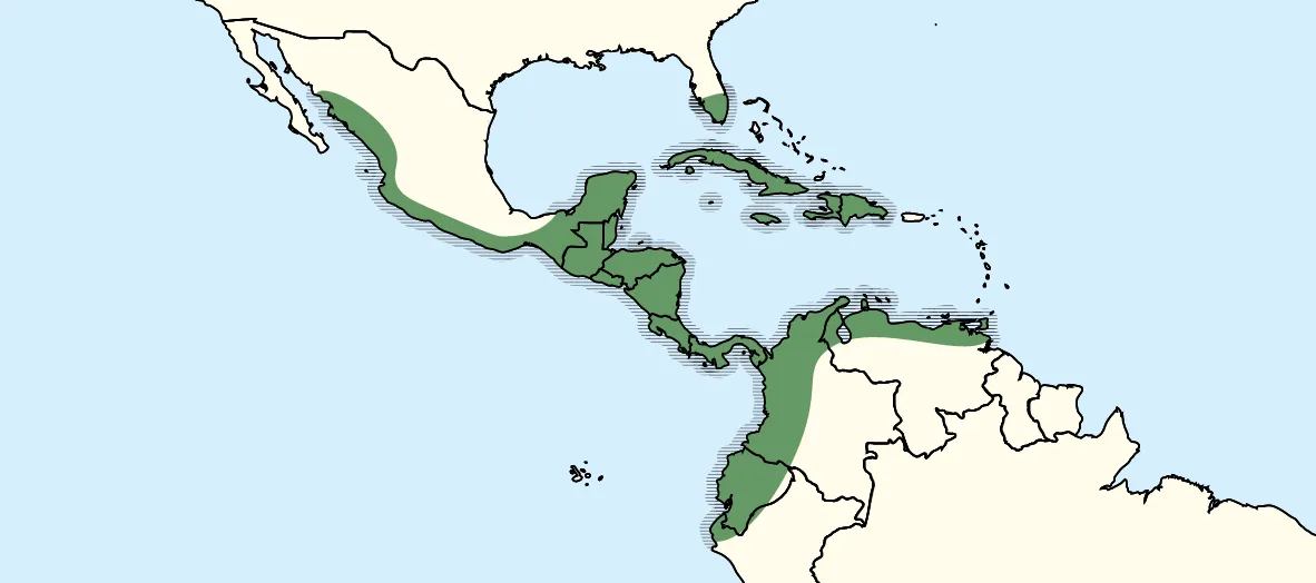 American crocodile distribution.png