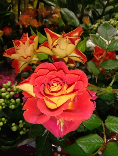 mariale07 flowers.png