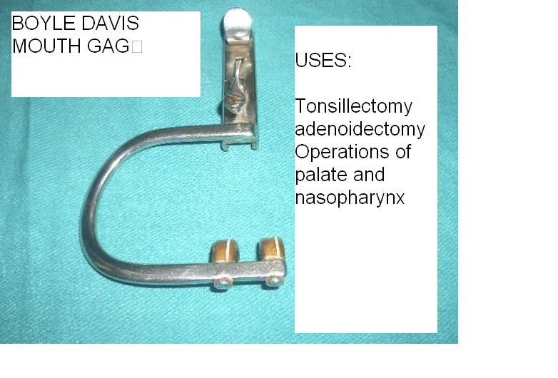 Boyle_Davis_Mouth_Gag Netha Hussain 4.0.png
