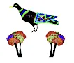 yaziris pigeon and flowers2.png