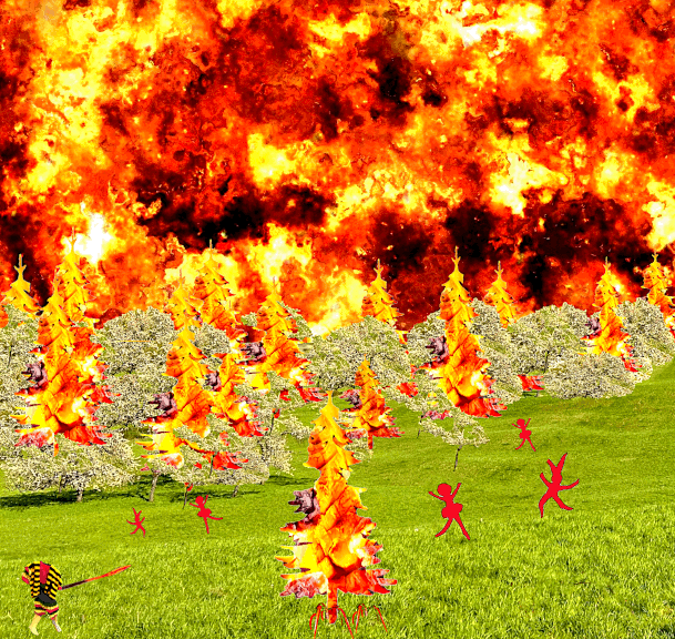163 festival of fire gif2.gif